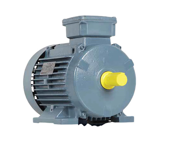 IE-2 Motors