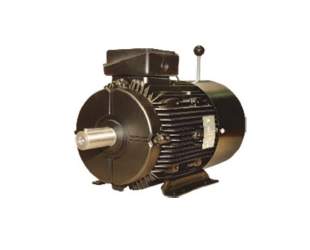 Brake Motor in Pune by Rajendra Enterprises