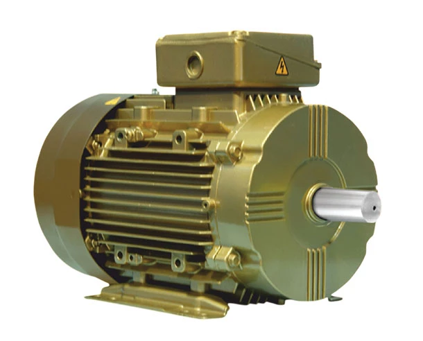 IE4 Motor in Pune by Rajendra Enterprises